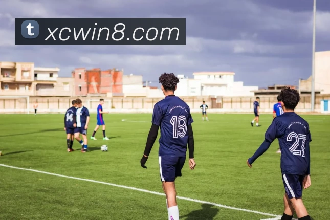 新城娱乐官网平台生态图