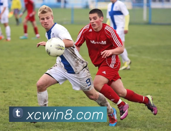 新城娱乐官网APP 封面图