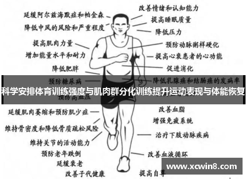 科学安排体育训练强度与肌肉群分化训练提升运动表现与体能恢复
